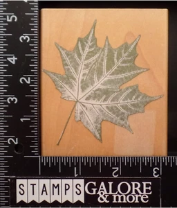Hero Arts Stempel N2081 LIQUID AMBER XL BAUM BLÄTTER BLATT #2469 - Bild 1 von 2