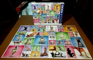 Eurographics Puzzle 1000 Pezzi Yoga Cani Completo - Foto 1 di 8
