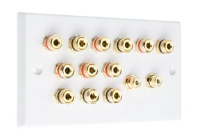 Audio Speaker AV 6.2 Wall Face Plate 12 Terminal Binding Posts + 2 RCA's - Imagen 1 de 18
