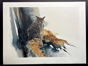 Morten Solberg Lmtd Ed Signed Print “The Grand Duke” Owl - Picture 1 of 1