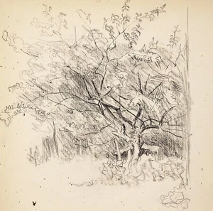 Frederick Henry Townsend (1868-1920) Graphitzeichnung. Feine Studie eines Baumes - Bild 1 von 4