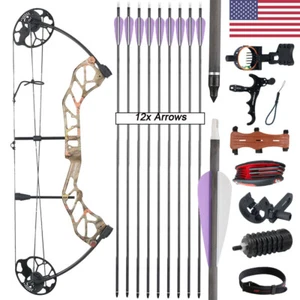 Compound Bow 19-70lbs Hunting Bow Archery Shooting Arrows Kit Target Practice - Picture 1 of 30