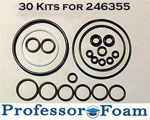Professor Foam 30 A-Quality Kits Fit 246355 Graco Fusion AP -Shocking Chemical - Picture 1 of 2