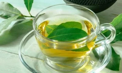 Bay leaf Tea Benefits for Skin 20, Fresh Organic Bay Leaves Leaf, Fresh - Image 1 of 4