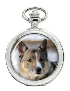 Reloj de bolsillo sueco Vallhund - Imagen 1 de 4