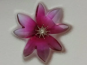 SWARONSKI DILICIA FUCSIA RAIN 0956806 - Imagen 1 de 5