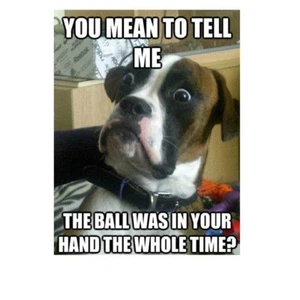 "Humorvoller Boxer Hund Kühlschrank Magnet 3 1/2x4 1/2" - Bild 1 von 1