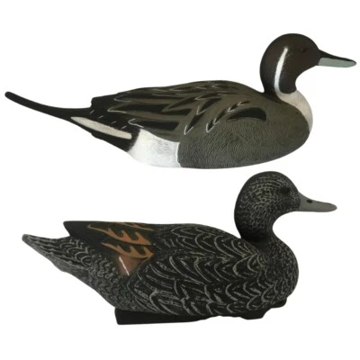 Duck Decoys Pintail Realistic Floating  HIGH DEFINITION HD Full Body HIGH QUALIY - Image 1 of 4