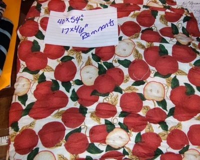 2 Cotton Quilting Fabric Remnants:  40x54" & 17" x 46" - Image 1 of 3