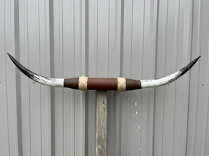 MOUNTED STEER HORNS 4 feet 8 1/2 Inch LONGHORN POLISHED MOUNT BULL COW - Picture 1 of 3