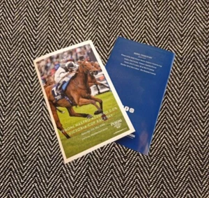 Ascot Peroni Nastro Azzurro May Raceday SATURDAY racecard 11/5/2024! - Picture 1 of 1