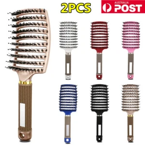 2x Detangling Boar Nylon Bristle Hair Brush Head Scalp Massage Hairbrus Comb New - Picture 1 of 19