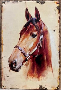 Horse Metal Wall Sign 12" x 8" - Picture 1 of 1