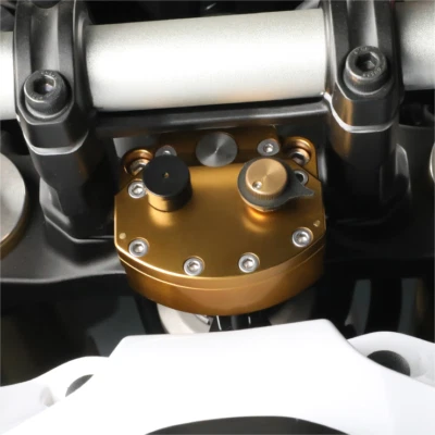 Per YAMAHA TENERE 700 RALLY XTZ 700 2020-2024 Ammortizzatore Stabilizzatore Sterzo CNC - Immagine 1 di 4