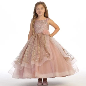 Girl's Special Occasion dress  like Flower girls, mini quinceanera, Dusty Rose - Picture 1 of 5