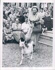 1951 Press Photo Meerkerk People Watch Królowa Juliana Led by Goat Netherlands