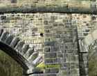 Photo 6X4 Green Lane Bridge (Detail) Hyde Detail In The Stonework Of Gree C2009