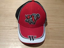 Vintage Youth Winston-Salem Warthogs NC MiLB 90s Hat Hook and Loop Strap Back