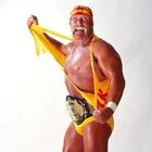 HULK HOGAN 8x10 COLOR PHOTO ROH ECW WWE NXT AEW IMPACT 
