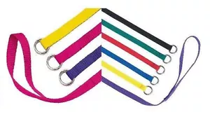 Slip Style Kennel Dog Lead Bulk Packs Wholesale Dogs Leads Vet Groomer Shelter - Picture 1 of 9