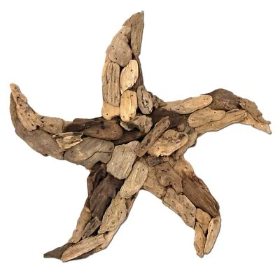 SEESTERN Treibholz Deko mit Seestern ( 30 cm ) Motiv Wanddeko Driftwood Holzdeko - Bild 1 von 4