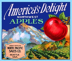Seattle Washington Mt. Stampa etichetta cassa frutta mela Rainier America's Delight - Foto 1 di 1