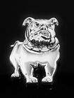 For  Bulldog Lovers  Brooch Or Pendant Silver Plated  Pin- Brooch- Slider