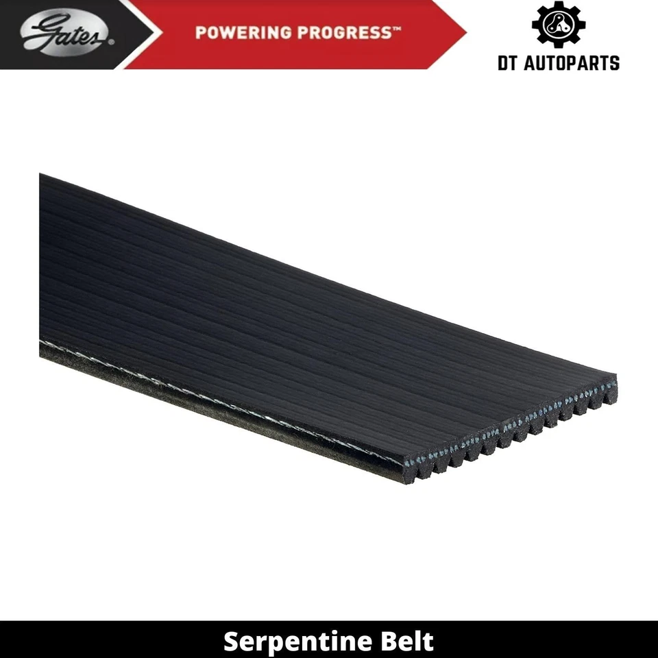 For 1997 Ford LTA9000 11.1L L6 DIESEL Serpentine Belt For Fan Gates - Image 1 of 4