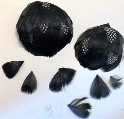 Almohadillas de plumas negras Guinea vintage Millinery 6 piezas para sombreros Fascinator Francia nuevas con etiquetas Foto 1 de 3
