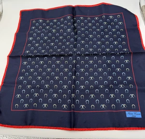 Nunes Correa Seide Einstecktuch Schal Glückshufeisen blau Italien 13 Zoll - Bild 1 von 6