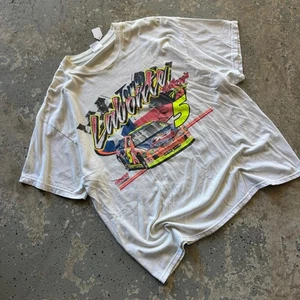 Vintage Terry Labonte Frosted Flakes Tony the Tiger NASCAR Graphic Tee XL - Bild 1 von 8