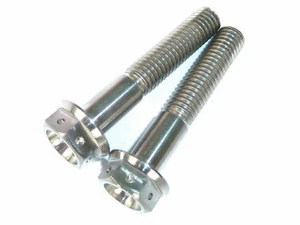 KTM 300 EXC 2016-2025 Titanium FRONT Brake Caliper Mount Bolt kit Race spec - Picture 1 of 9