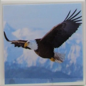 Juego de 1 - Posavasos de azulejos de cerámica hechos a mano - Eagle (Compra 3 y obtén 1 gratis) 1 D - Imagen 1 de 6