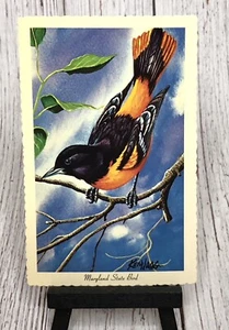 Maryland State Bird Baltimore Oriole On a Branch Artist Ken Haag Postcard - Picture 1 of 4