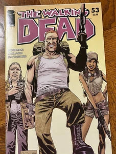 Walking Dead #53 Image Comics 2008 | Excellent Condition, Bagged & Boarded - Picture 1 of 10
