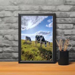 Dairy Cow Photo Canvas or Poster Print Wall Art Farmhouse Decor - Picture 1 of 4