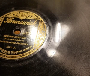 78RPM Brunswick 3610 Ben Selvin Dew-Dew-Dewy Day /Oh Doris! Where Do You Live? V - Picture 1 of 5