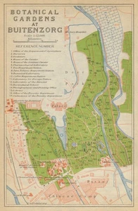 Bogor, West Java. "Botanical Gardens at Buitenzorg". Indonesia 1920 old map - Picture 1 of 1