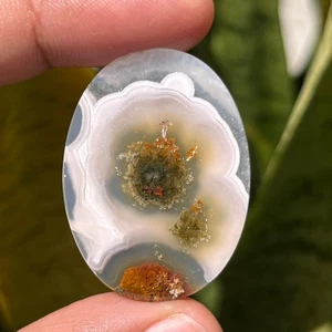 42,90 Ct Scenic Moosachat Orbicular Cabochon 36x27x4 mm hochwertiger Moosachat - Bild 1 von 4