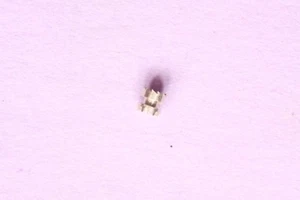Longines 501 503 505 part 407 Pignon coulant Clutch wheel Scorrevole NOS - Picture 1 of 1