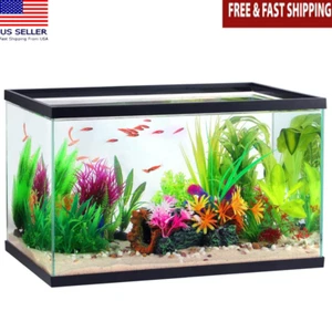 10 Gal Clear Glass Aquarium Tank Easy Setup Breeder Ideal Fish Care Double New - Picture 1 of 4