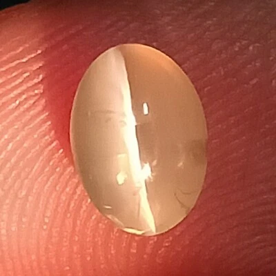 Chrysobery Cat's Eye,2.35 Cttw. ,Cat's Eye,Sri Lanka Cat's Eye Gemstone,SriLanka - Image 1 of 4