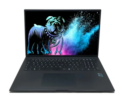 LG gram 17 17Z90P-G.AP78G 17" Notebook WQXGA i7-1165G7 16GB LPDDR4 1TB FPR W11P - Bild 1 von 4