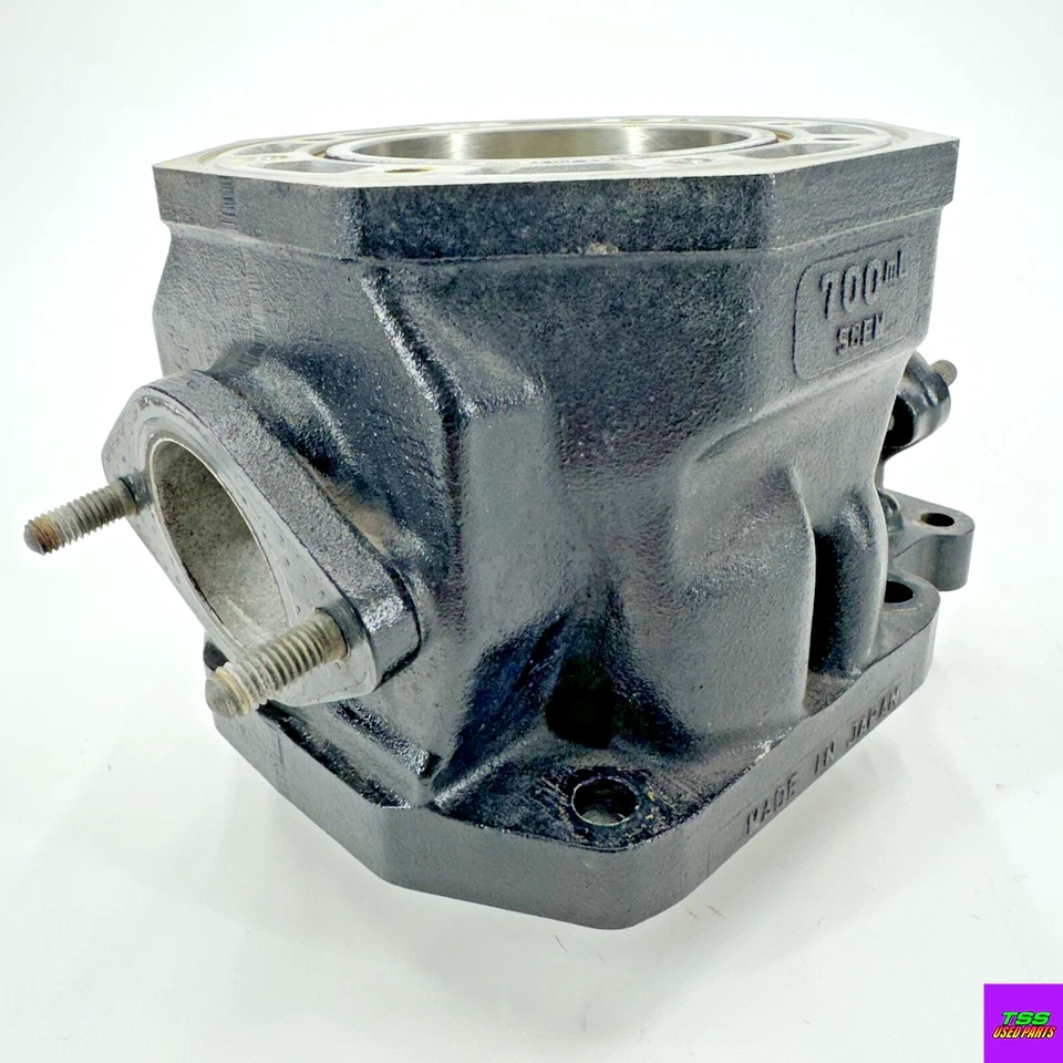 91-96 ARCTIC CAT 700 WILDCAT CYLINDER ASSEMBLY 3003-756 — 第 1/4 张图片
