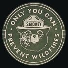 Only You Can Prevent Wildfires Smokey the Bear Aluminum Sign Camping Hiking Tin 