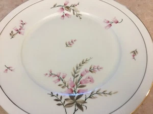 SCHLAGGENWALD ~ Laura ~ 3 Dinner Plates & 6 Salad Plates ~ Czechoslovakia - Picture 1 of 17