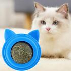 Cat Catnip Ball, Kitten Wall Toy, Kitty Playing Rotating Teething Toy for Pet