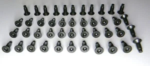 44 ea Windshield Door Tailgate Torx Bolts Screws Fits CJ YJ TJ Jeep Wrangler - Bild 1 von 4