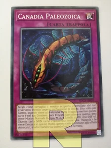 Canadia Paleozoica / Paleozoic ® Comune ® SDCS-IT039 ® Italiano - Picture 1 of 1