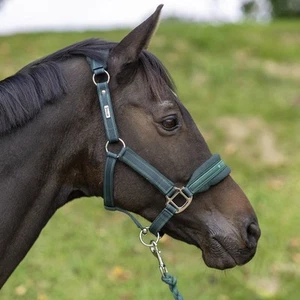 Equilibrium Stellar Style Headcollar - Picture 1 of 21